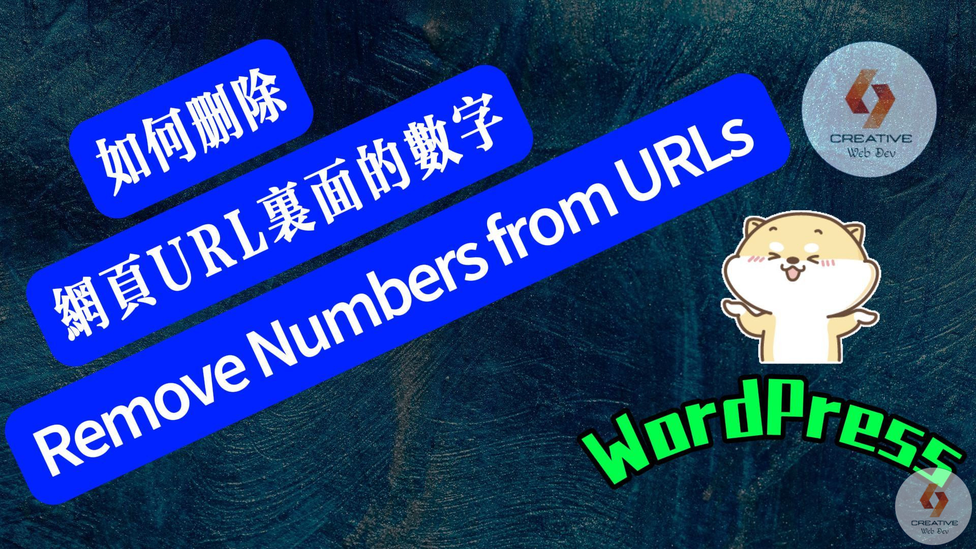 9月12日 封面